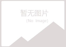 崇信县冰夏金属有限公司